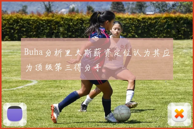 Buha分析里夫斯薪资定位认为其应为顶级第三得分手
