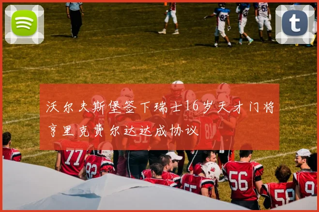 沃尔夫斯堡签下瑞士16岁天才门将亨里克费尔达达成协议