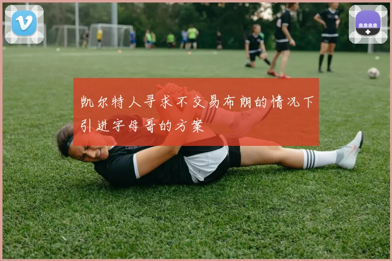 凯尔特人寻求不交易布朗的情况下引进字母哥的方案